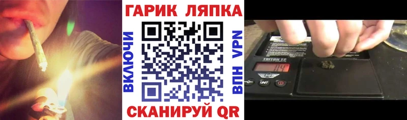 ГАШ Ice-O-Lator  Юрьев-Польский 